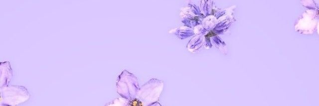 amaynarvaez's profile banner image