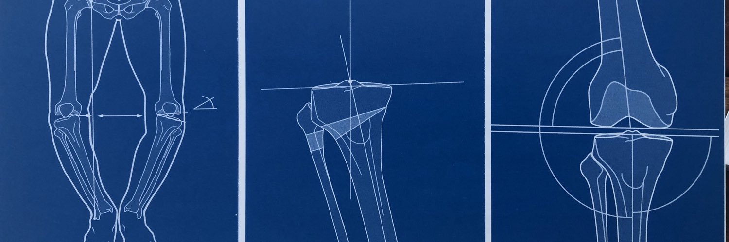 Jesús Alfaro-Adrián banner