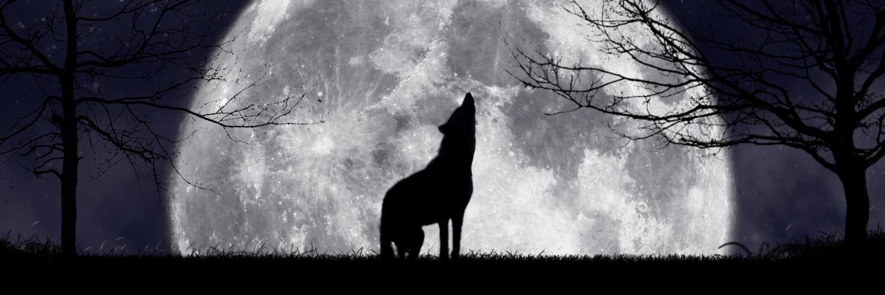 WolfGhost77's profile banner image