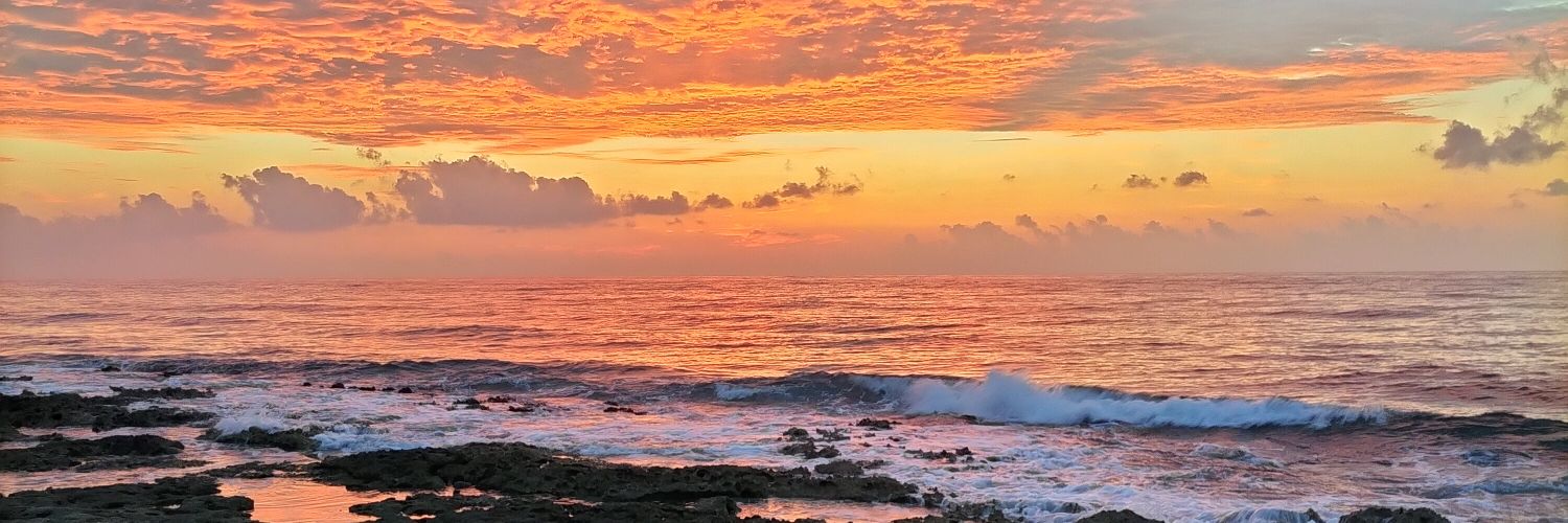 Jeannette Heaton banner