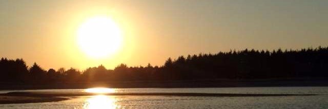 BrianHolmgaard1's profile banner image