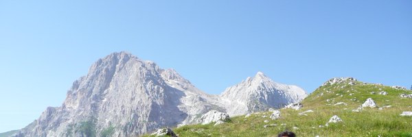 bernardo_pf Profile Banner