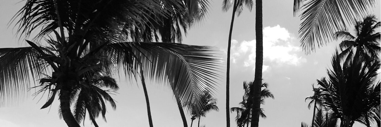 Gaguy978's profile banner image