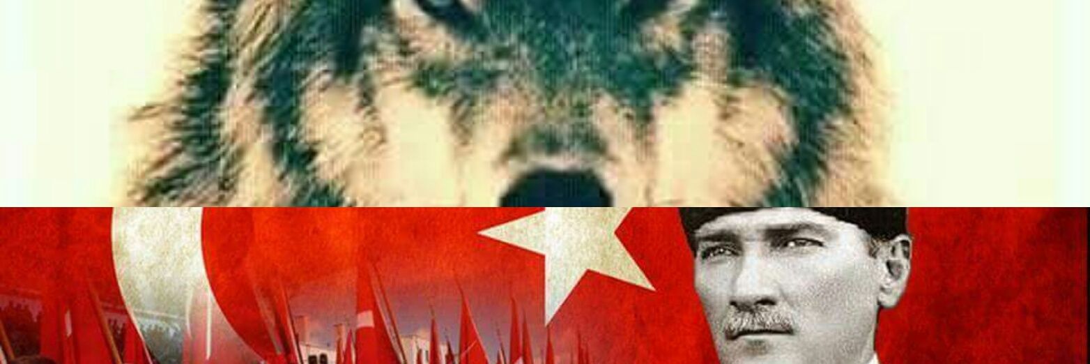 simseknr's profile banner image