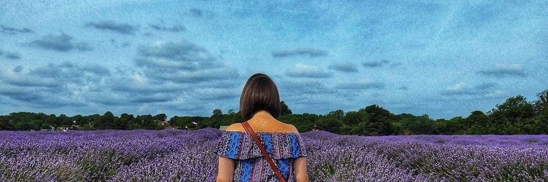 LMChan83's profile banner image