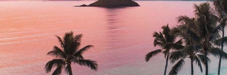 ouilemuse's profile banner image