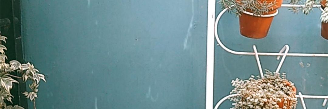 FormicaNaty's profile banner image