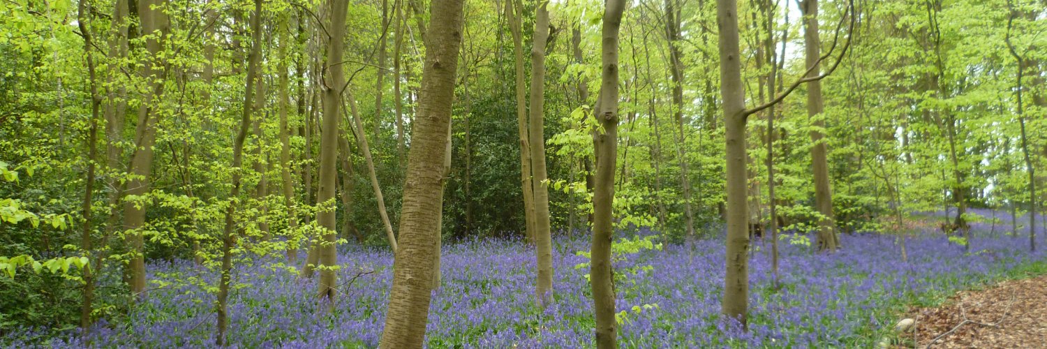 Stephen Wigmore banner