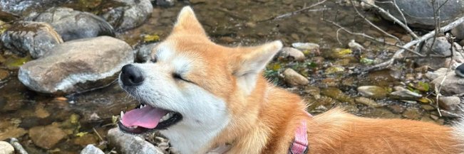 MooMak's profile banner image