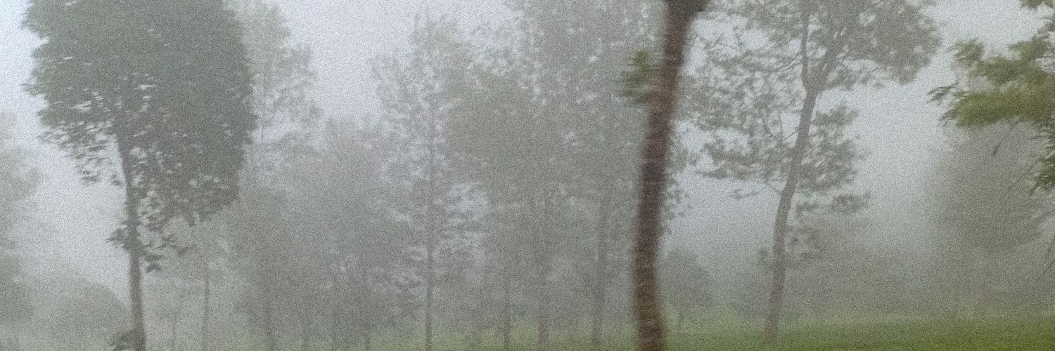 blueberrys00's profile banner image