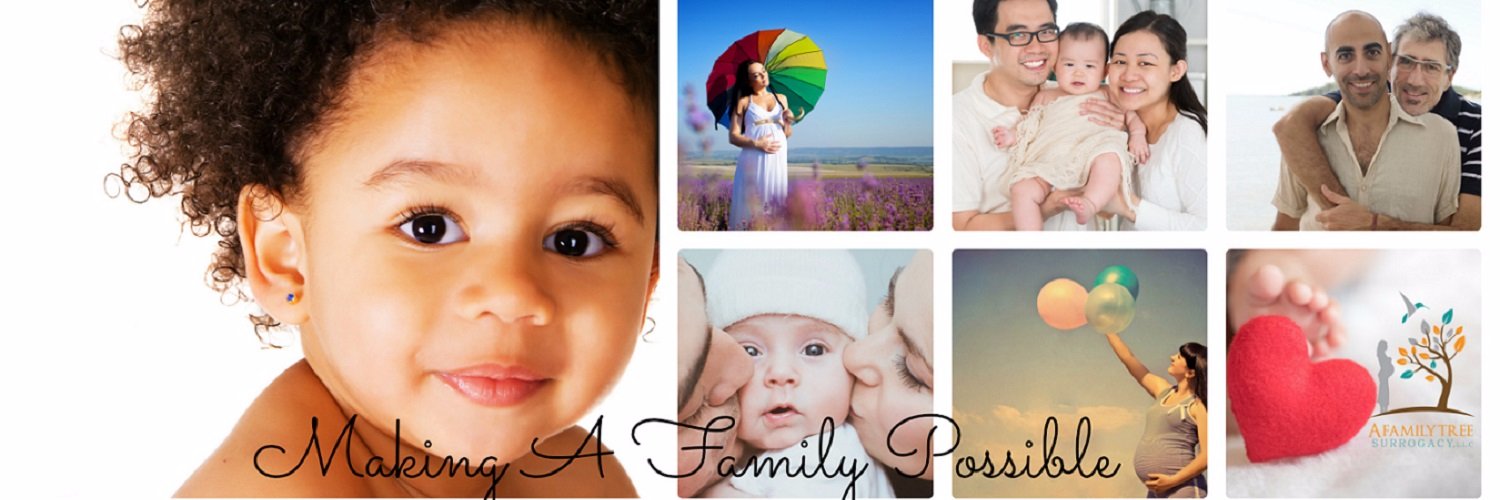 aftsurrogacy's profile banner image