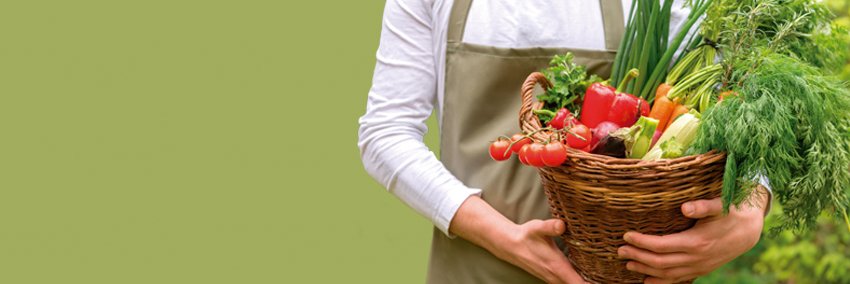 Mercado Abastos Stgo banner