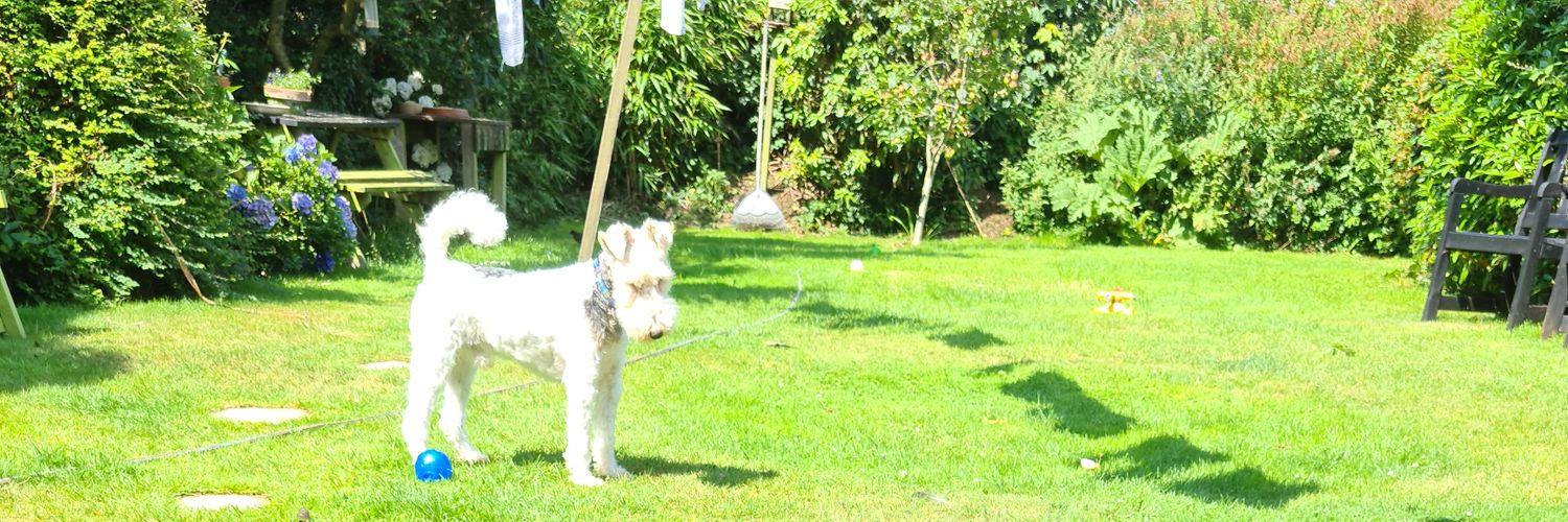 RobtheRescue's profile banner image