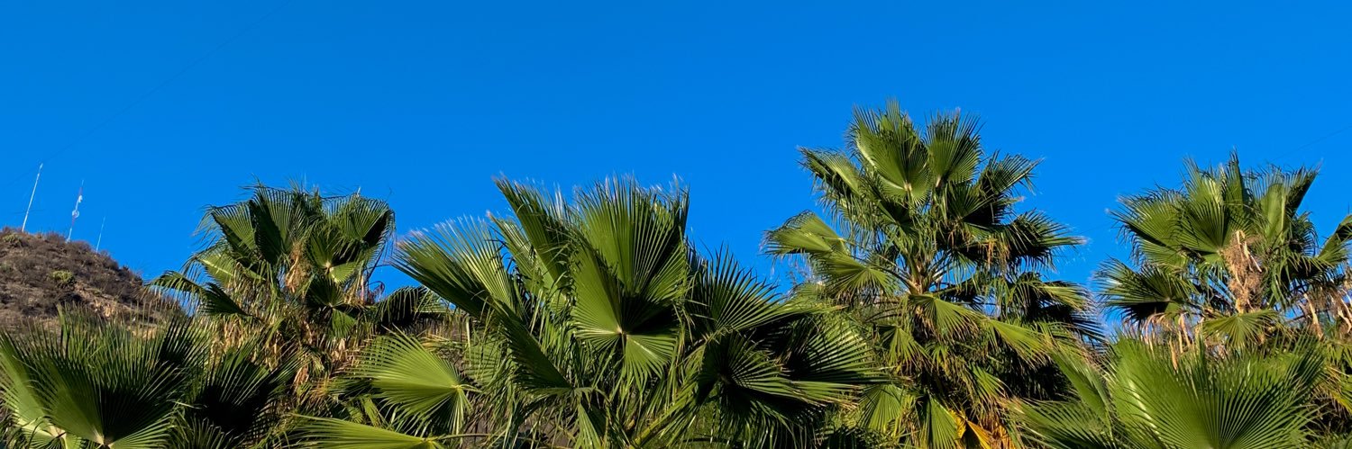 erickzpedaaa's profile banner image