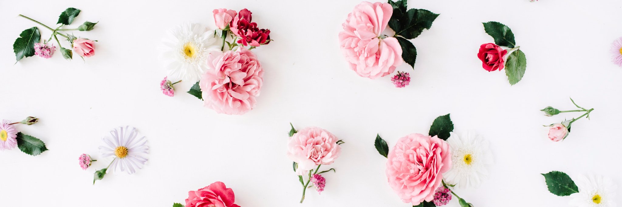 Emma Rose Tully banner