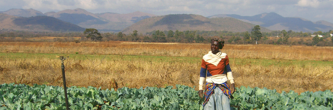 AgMissions's profile banner image