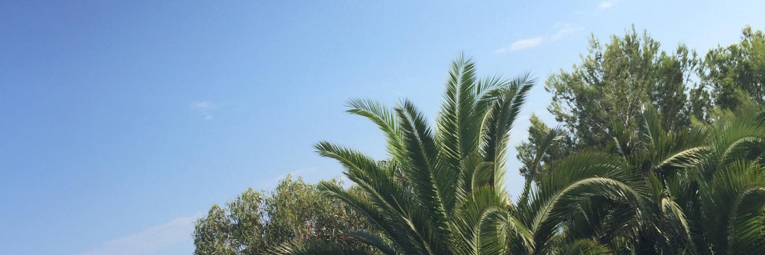 BtDaily's profile banner image
