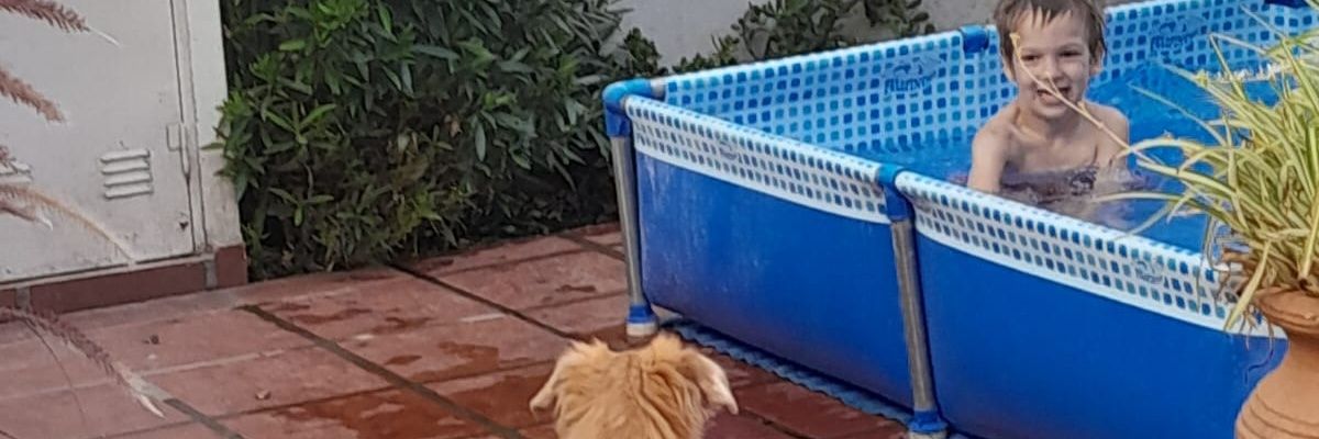 kukon23's profile banner image