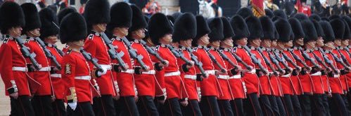 Steve Howarth banner