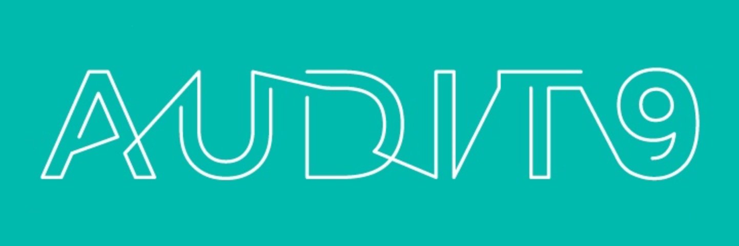 audit_9's profile banner image