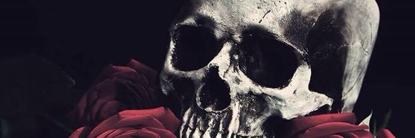 Sammy_B_I's profile banner image