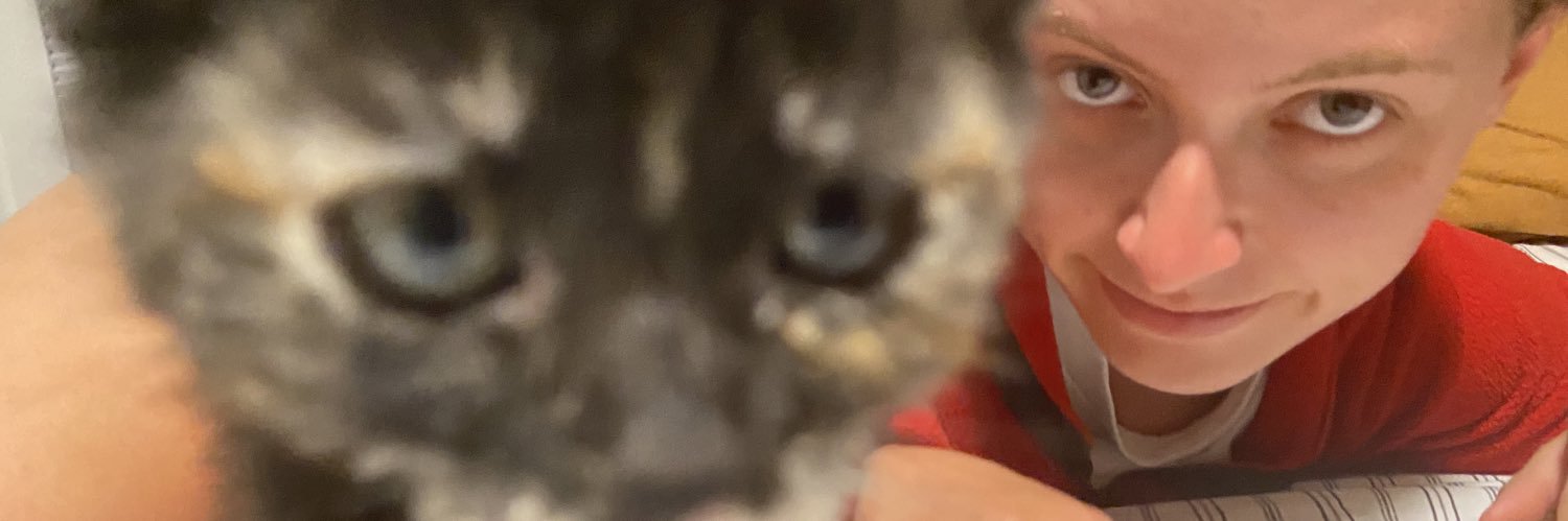 SebreenaZalam's profile banner image