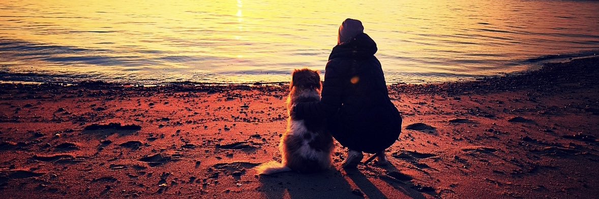 Nicole Estaphan banner