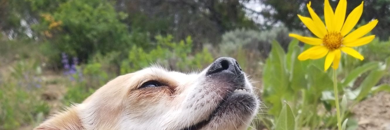 bilfiebb's profile banner image