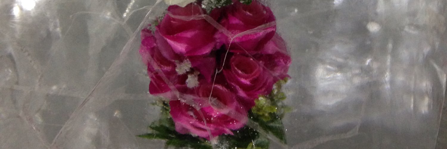 AinaKsen's profile banner image