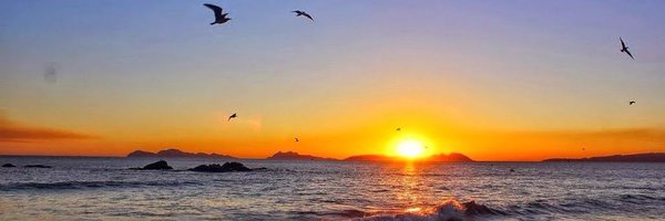 menchurenfe Profile Banner