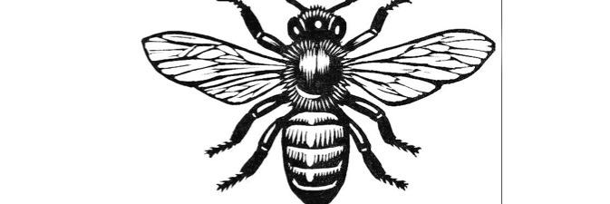 Apis bee consultancy banner