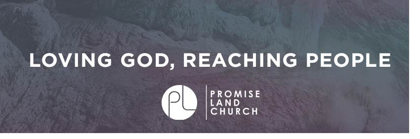 PromiseLandCOG's profile banner image