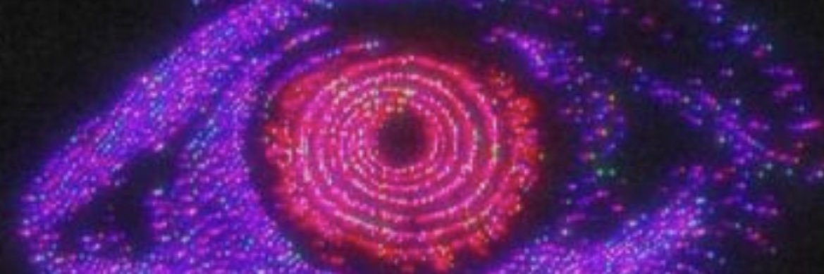 austinn_lovee's profile banner image