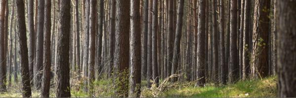 GroenGebogen Profile Banner
