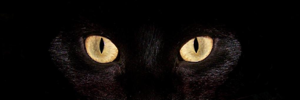 Gilbertaviles's profile banner image
