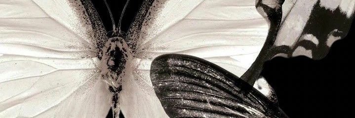 Ti_fmii's profile banner image