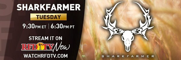 sf28430 Profile Banner