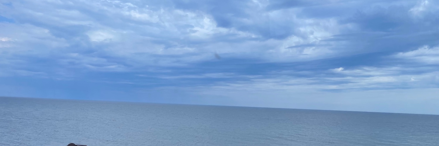 Dmitry Saraev banner