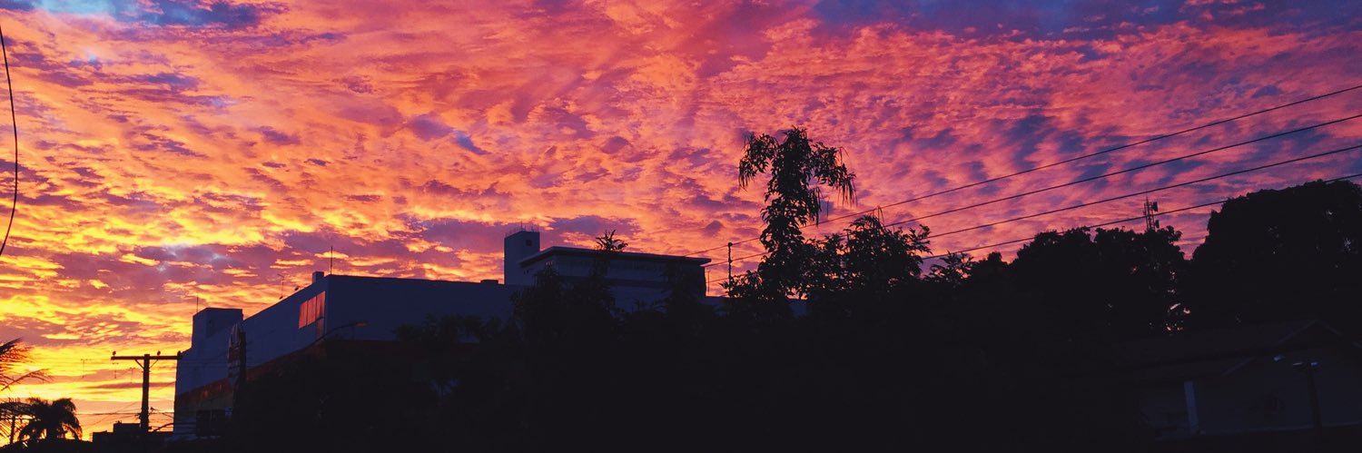 malucastro__'s profile banner image