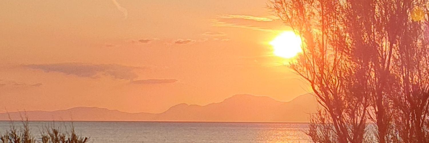 Lucidodinome's profile banner image