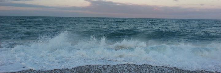 nylee_rose's profile banner image