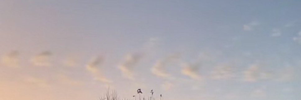 Emma ♡ 🎭💙💚 banner