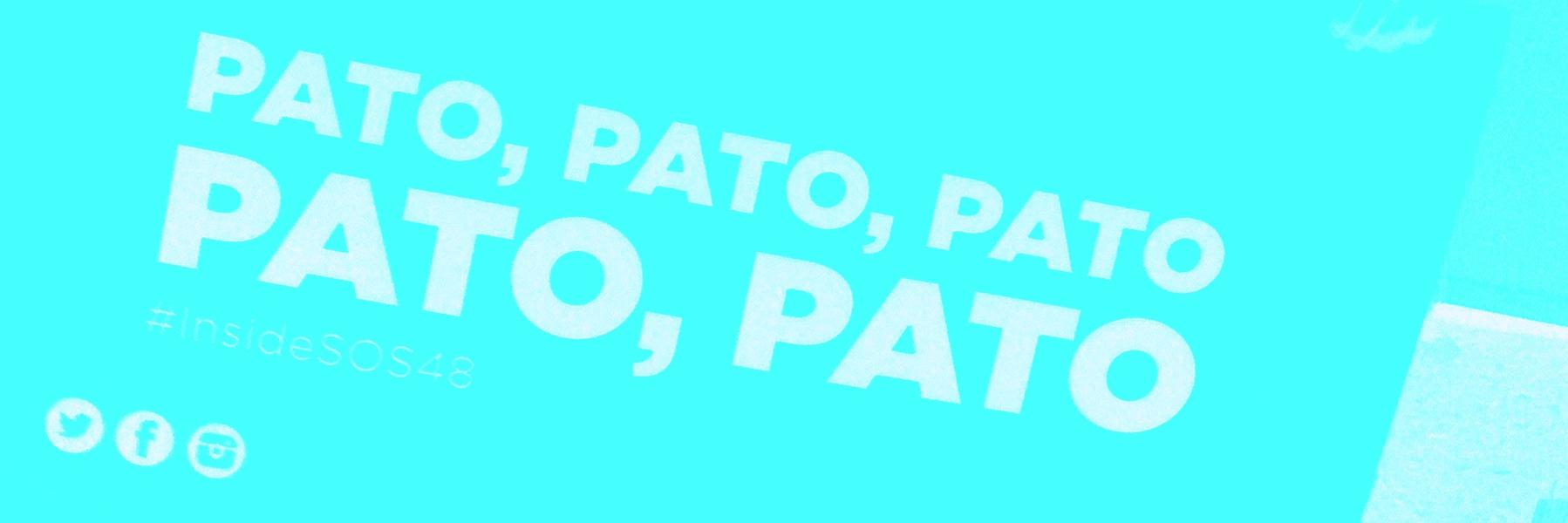 Susanawhynot's profile banner image