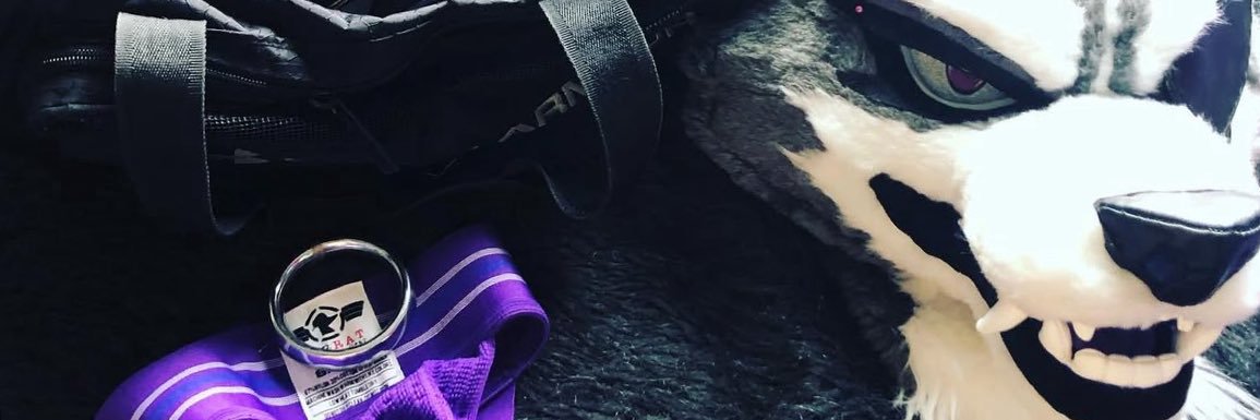Wolf’s Hideout 💗💜💙🐺 banner