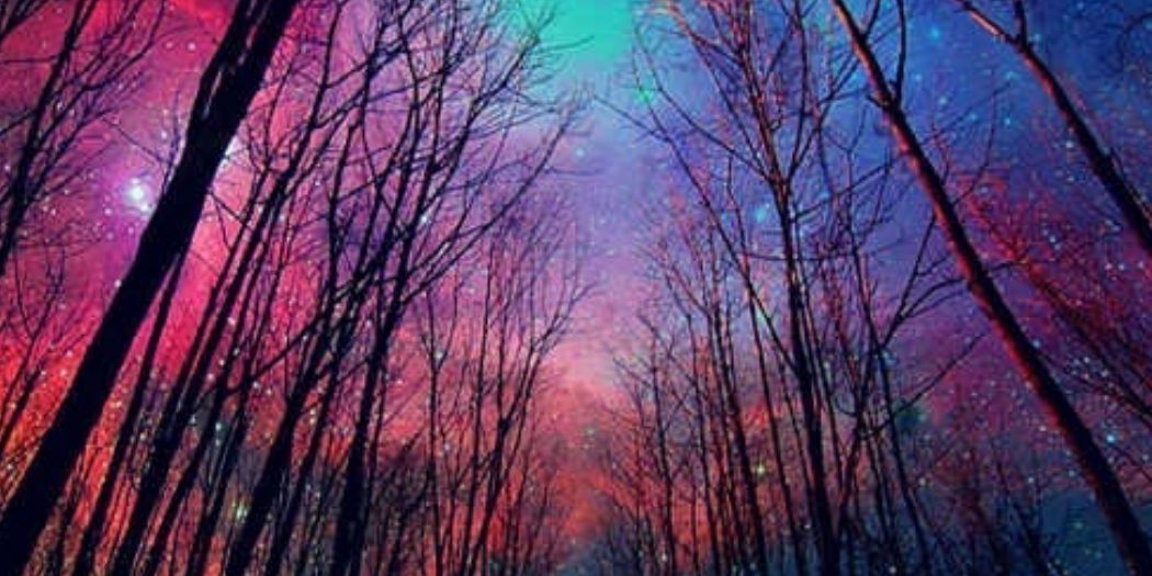 HaleighW21's profile banner image