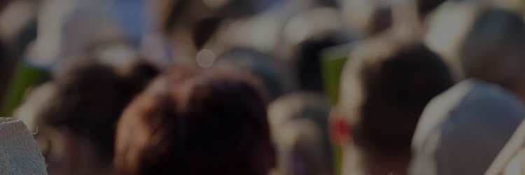 sharkreach's profile banner image