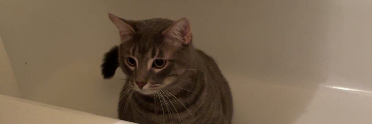 _notjoey's profile banner image