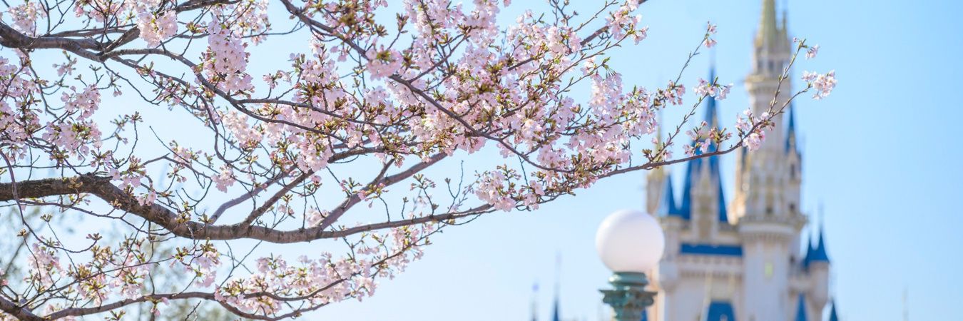 ♡KEKE♡ banner