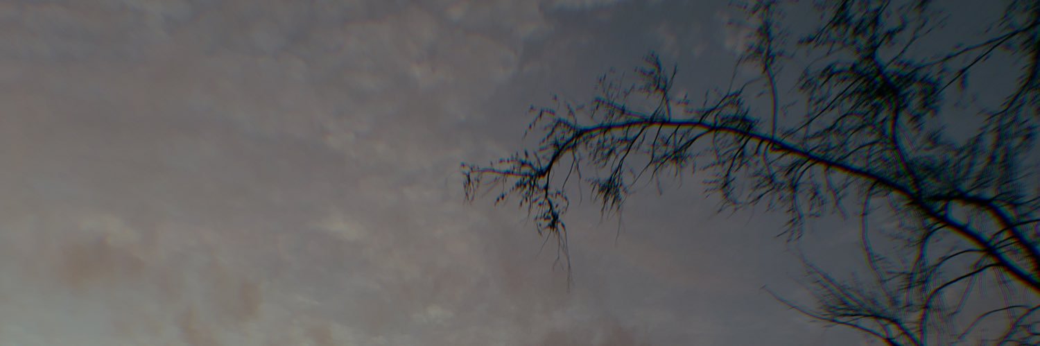 xntg01's profile banner image