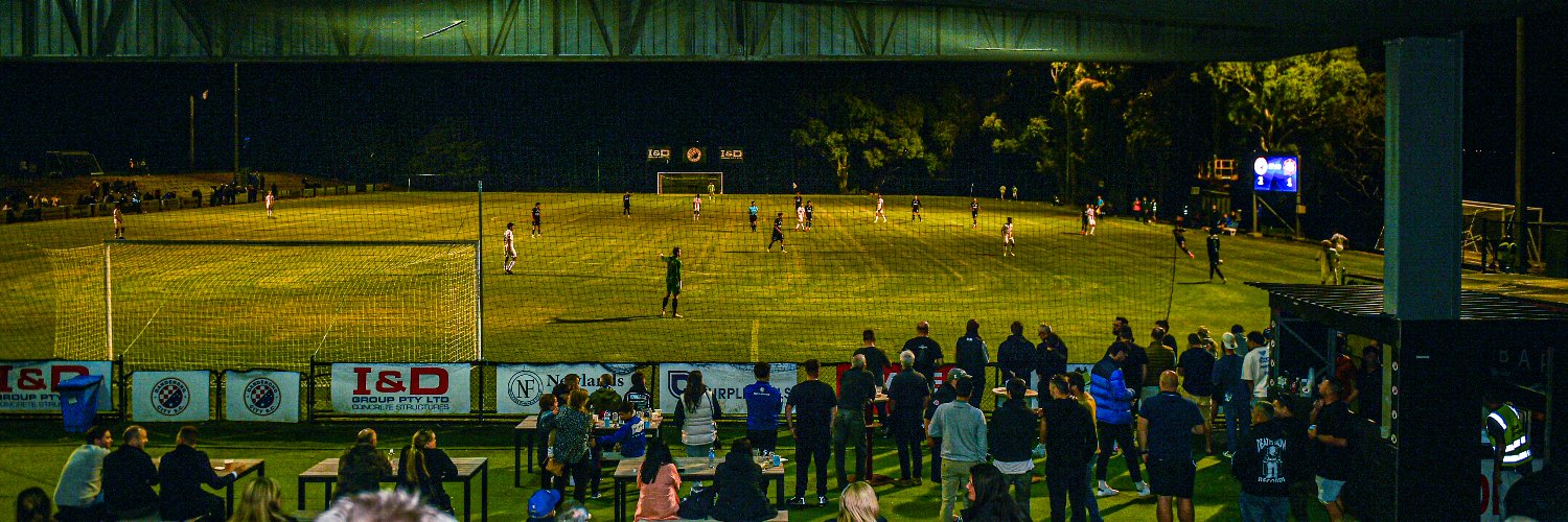 Dandenong City SC banner